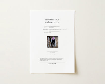 Her Majesty the Queen - Original Artwork